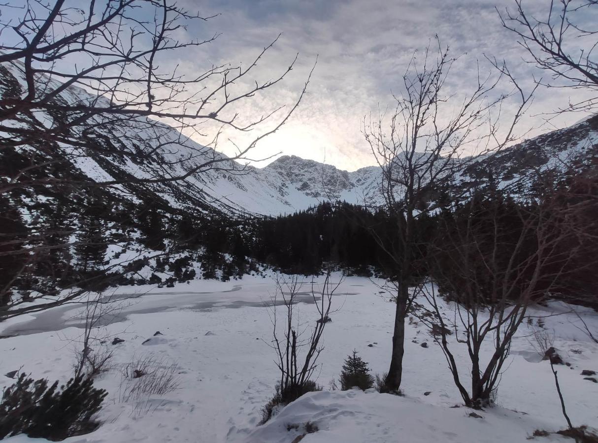 Western Tatras Slovakia Oravsky Biely Potok Exterior photo